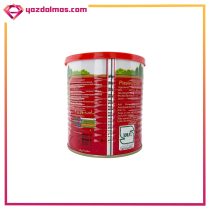 کنسرو رب گوجه فرنگی 800 گرمی ماه چین - Image 2